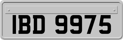 IBD9975