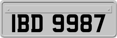 IBD9987