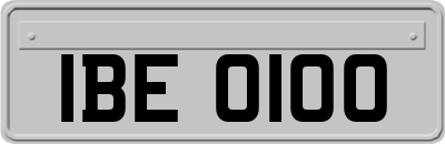 IBE0100