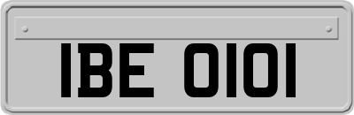 IBE0101