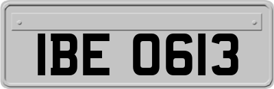 IBE0613