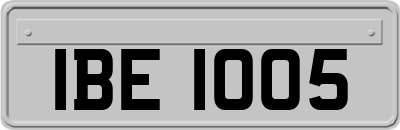 IBE1005