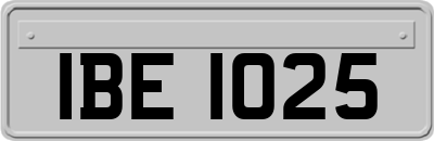 IBE1025