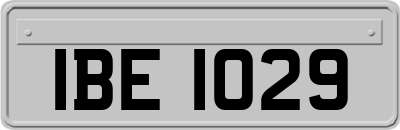 IBE1029