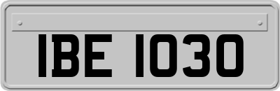 IBE1030