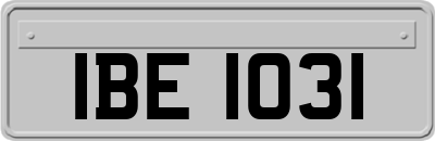 IBE1031