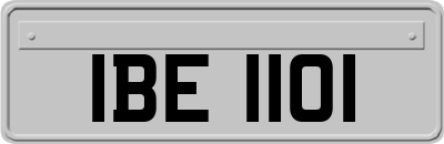 IBE1101