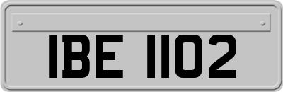 IBE1102