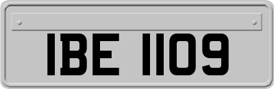 IBE1109