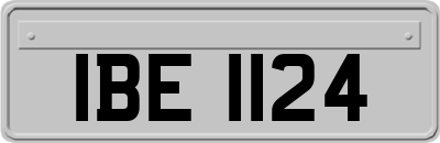 IBE1124