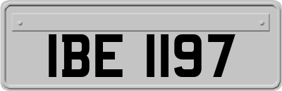 IBE1197