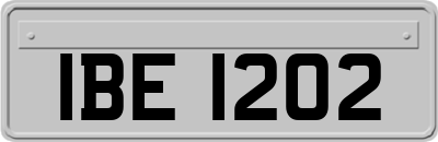 IBE1202