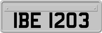 IBE1203