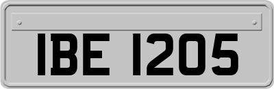 IBE1205