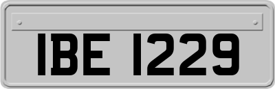 IBE1229