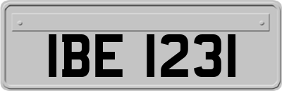 IBE1231