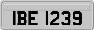 IBE1239