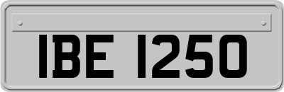 IBE1250