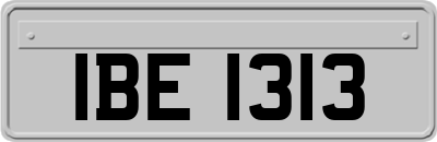 IBE1313