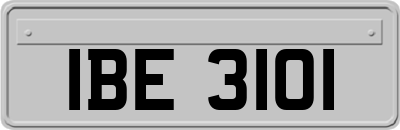 IBE3101