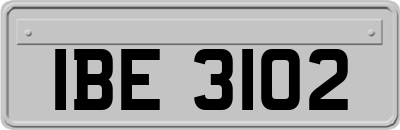 IBE3102