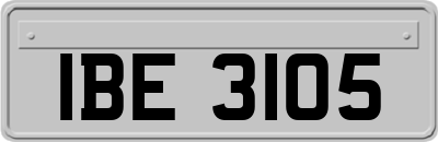 IBE3105