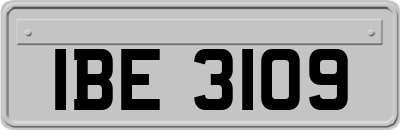 IBE3109