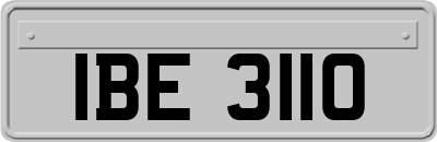 IBE3110