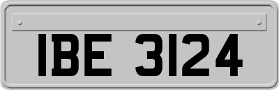 IBE3124