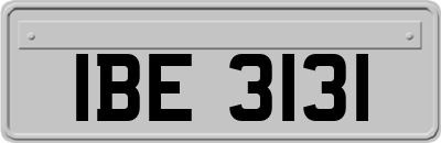 IBE3131