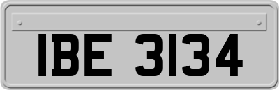 IBE3134