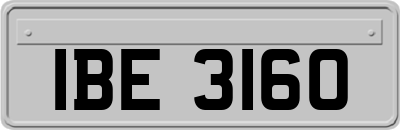 IBE3160