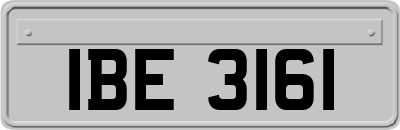 IBE3161