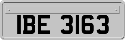 IBE3163