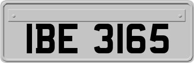 IBE3165