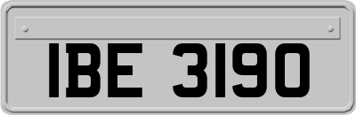 IBE3190