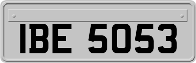 IBE5053