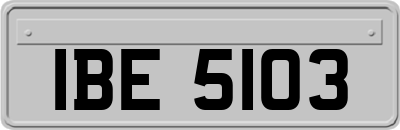 IBE5103