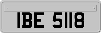 IBE5118