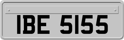 IBE5155