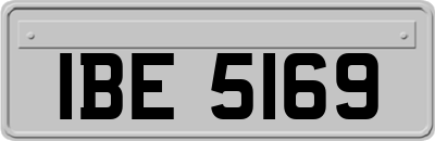 IBE5169