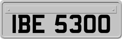 IBE5300