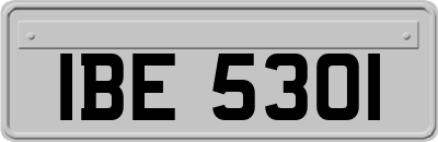 IBE5301