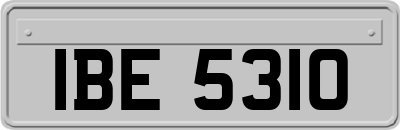 IBE5310