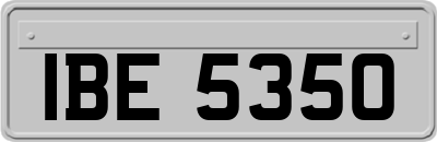 IBE5350