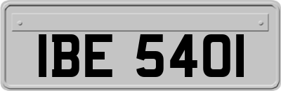 IBE5401