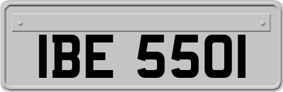 IBE5501