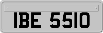 IBE5510