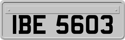 IBE5603