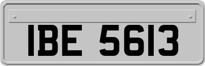 IBE5613